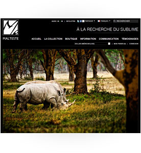 Cliquez ici pour visiter le site